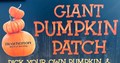 Heatherton pumpkin patch